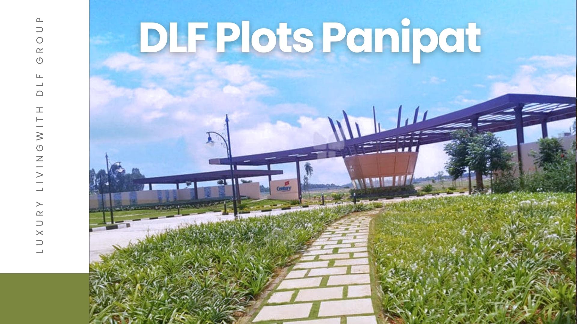 Harmonious Living: DLF Plots Panipat – Where Dreams Find Their Unique Canvas