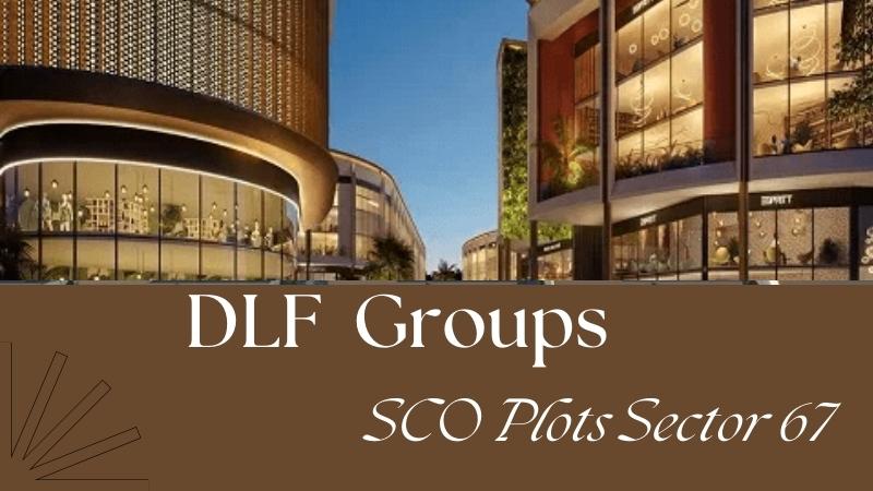 DLF SCO Plots Sector 67