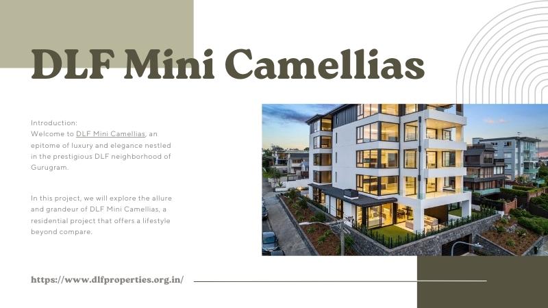 DLF Mini Camellias | Exquisite Living in the Lap of Luxury
