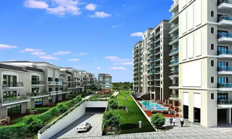 DLF Mini Camellias Gurgaon | Luxury 2/3/4 BHK Apartments
