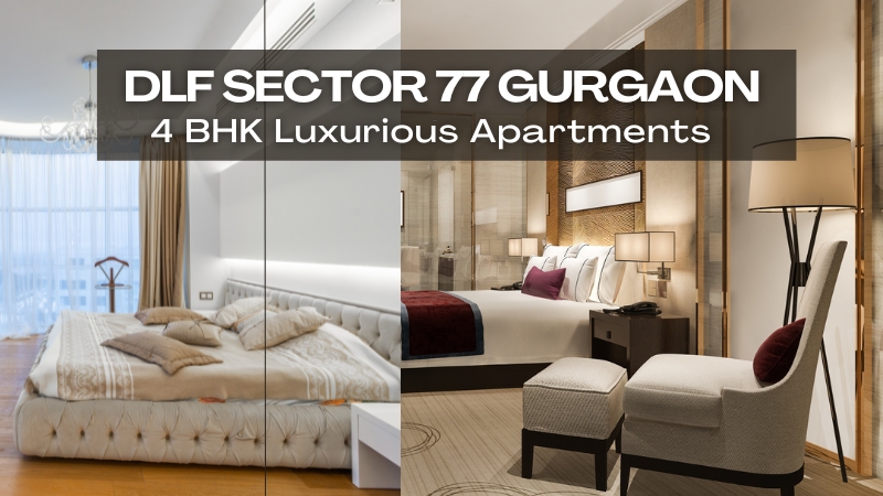DLF Sector 77 Gurgaon | Luxury Residential Apartments