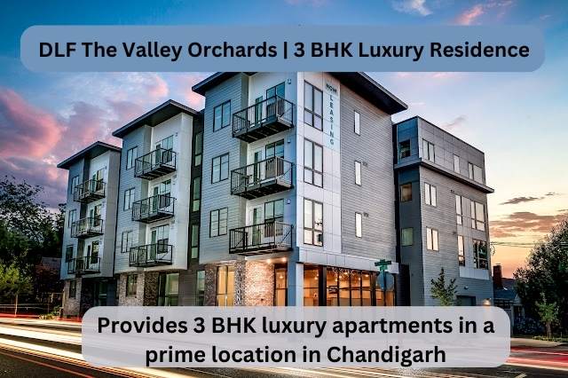 DLF The Valley Orchards | 3 BHK Luxury Residence