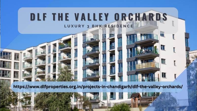 DLF The Valley Orchards | Luxury 3 BHK Residence