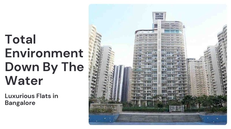Total Environment Down By The Water | Luxurious Flats in Bangalore